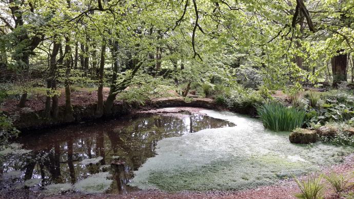 Shapcott Barton gardens