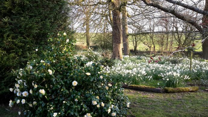 Shapcott Barton gardens