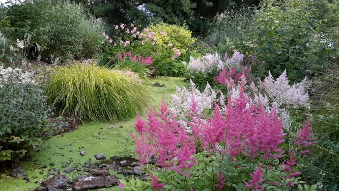 Shapcott Barton gardens